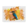 Trademark Fine Art Ata Alishahi 'Hummingbird Orange' Canvas Art, 30x47 ALI22431-C3047GG